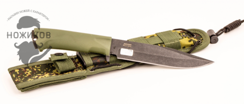 3810 Кизляр ПП Милитари фото 3 3810 Кизляр ПП Милитари фото 3
