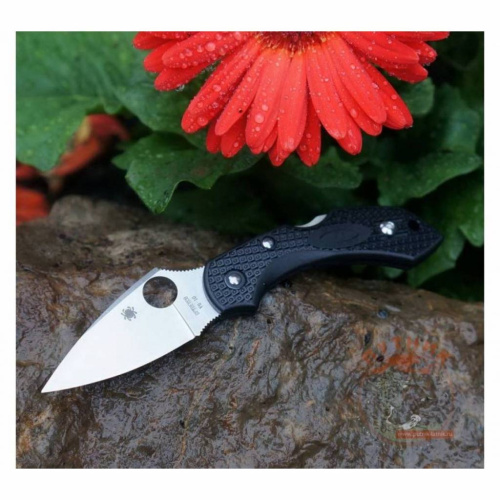 Складной нож Spyderco Dragonfly 2 - 28PBK2 фото 11