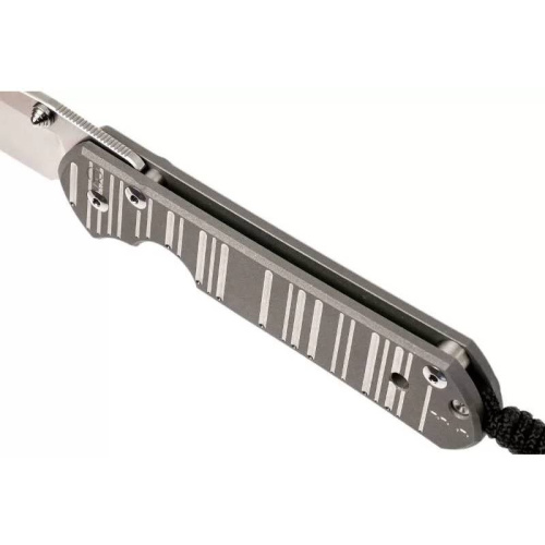 Складной нож Chris Reeve Large Sebenza 21 Think Twice фото 13 Складной нож Chris Reeve Large Sebenza 21 Think Twice фото 13