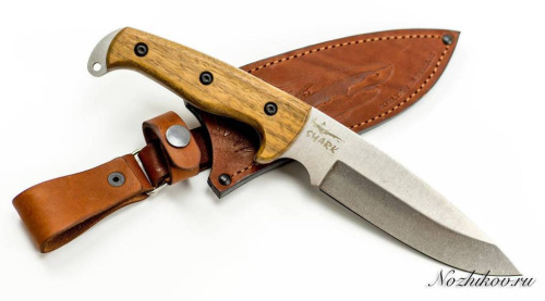 3810 Kizlyar Supreme Shark AUS-8 SW фото 3
