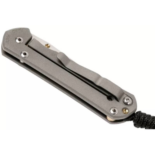 Складной нож Chris Reeve Large Sebenza 21 Gold фото 9