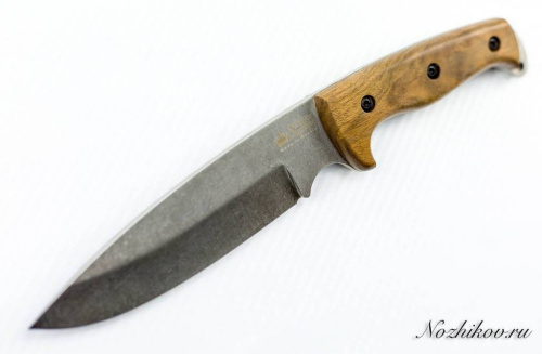 3810 Kizlyar Supreme Shark AUS-8 SW фото 4
